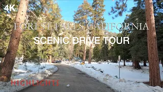 4K FOREST FALLS CALIFORNIA SCENIC DRIVE TOUR SNOW DAY