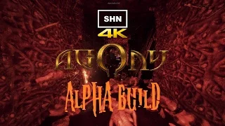 AGONY Alpha Version 4K/Full HD 1080p/60fps Walkthrough Gameplay No Commentary