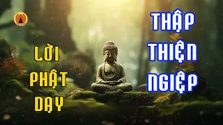 Thập Thiện Nghiệp - 10 điều Phật răn dạy ta làm người