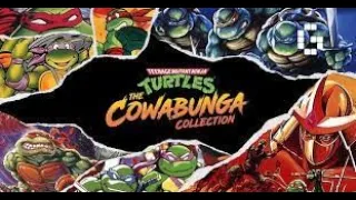 Teenage Mutant Ninja Turtles Cowabunga Collection