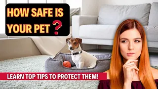 Must-Know PET Safety TIPS That Could SAVE Your pet's LIFE!