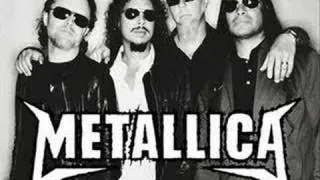 Metallica-Bleeding me (live May ,30, 2008)