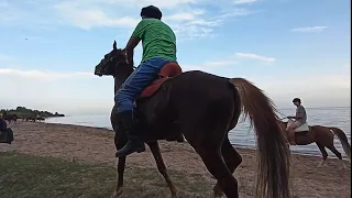 Сары Өзөн командасы/ Таштемир Жекшенов: күйөрмандардын үмүтүн актаганга аракет кылабыз.