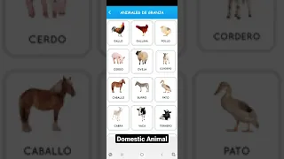 Domestic animal (animales de granja) in Spanish