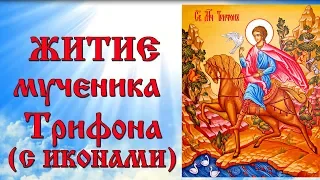 14 февраля Житие мученика Трифона (аудиокнига с иконами)