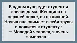 Зрелая Дама в Купе Соблазнила Студента! Сборник Свежих Анекдотов! Юмор!