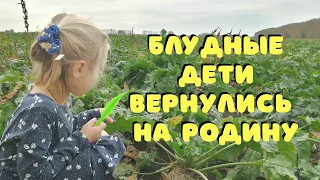 Едем на Родину в Нижний Новгород из Геленджика. Ч2. Павловск-на-Дону - Нижний Новгород. Трасса М4