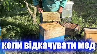 Коли відкачувати мед. Скільки меду принесли бджоли після розширення вощиною в розріз