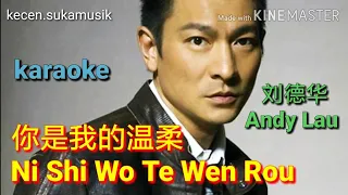 Ni Shi Wo Te Wen Rou - Andy Lau karaoke  你是我的温柔 - 刘德华