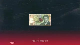Vladimir x Zary - Unde-s Banii (Official Audio)