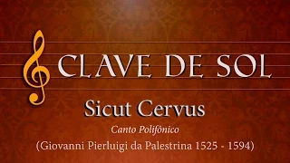 Clave de Sol: Canto Polifônico - Sicut Cervus