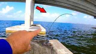 This is Why You Use GIANT Baits When Bridge Fishing!