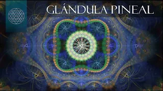 VIAJE FRACTAL SONORO - VISUAL | Intensa Focalización de GLANDULA PINEAL