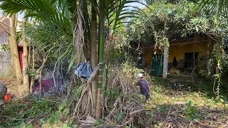 Volunteer group Cleans an Abandoned House with Overgrown Weeds | Clean up inspirational