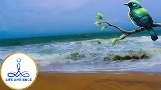 Soothing Ocean Sounds: Your Gateway to Relaxation | 3 Hours of Ocean Sounds: A Journey to Calmness