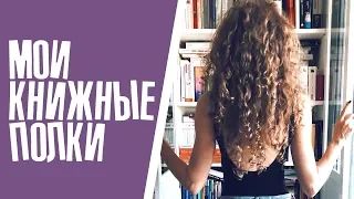 Мои книжные полки: французская коллекция | Елена Кундера #книги #книжныеполки