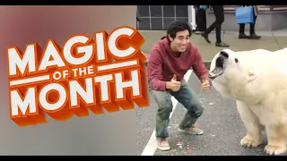 New Years Resolution Tricks | MAGIC OF THE MONTH - January 2020