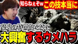 【新キャラ】通常技を調べたウメハラ、特徴的な技の数々に一喜一憂してしまう「知らねぇぞ、ほんとに！」【ウメハラ】【梅原大吾】【切り抜き】【スト6 SF6】