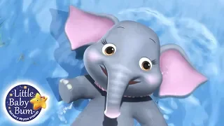 Learning Animals for Kids | 5 Elephants Having A Wash | Little Baby Bum Learning