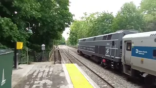 Cloudy Day Rail fanning In Cold Spring New York