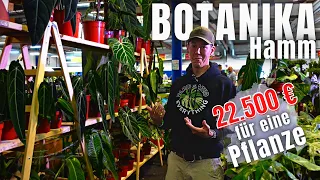 Plant rarities - better than in the garden center with priceless indoor plants at the Botanica Hamm