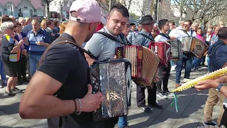 Tocador arrasa a Tocar em Arcos de Valdevez👌👍👍