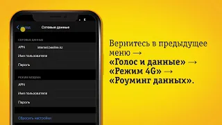 Как настроить интернет в роуминге, если на телефоне eSim на iOS