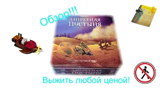 Обзор настольной игры Запретная пустыня!!!