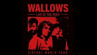 Wallows - OK // Live At The Roxy