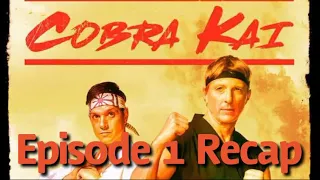 Cobra Kai Season 1 Episode 1 Ace Degenerate Recap