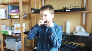 Antoine harmonica