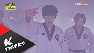 [Shindong's kick service] B.A.P - Warrior K-Tigers Zero ver.