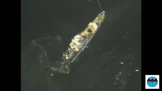 Российский Су-30 показательно уничтожил сторожевой корабль в Средиземном море