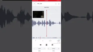 Oh my God, Poor Shelby Remix - American_h0rr0r_story on TikTok