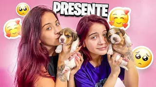 GANHAMOS 2 CACHORRINHOS DE PRESENTE DE NATAL!!