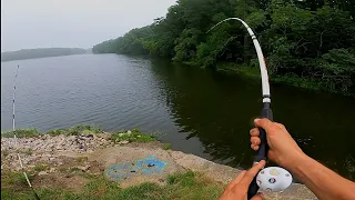 Fishing Spillway For HUGE Catfish (BIG REDEAR)