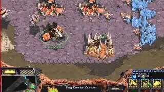 StarCraft Brood War [FPVOD] azbuka sc zerg urok1