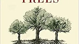 Honest Book Review of THE HIDDEN LIFE OF TREES WHAT THEY FEEL HOW THEY by PETER WOHLLEBEN