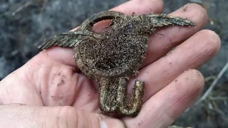 Коп по войне/ВОЕННЫЙ СБРОС/МЕГА находки вов/раскопки вов/кпв/ww2metal detecting/königsberg