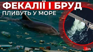 Наслідки відчує навіть Одеса: хвиля води з брудом із Каховського водосховища прямує у Чорне море