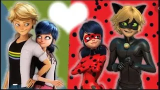 El muro que nos separa ladybug