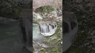 Невероятная Черниговка: живописное ущелье, водопады и знаменитая апацха "Ассир" в Абхазии #shorts