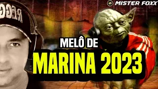 Melô De Marina 2023 - Reggae Remix | Dj Mister Foxx