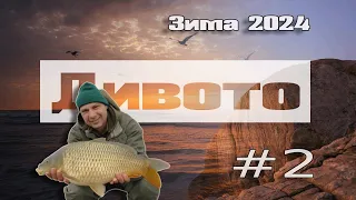 Риболов на шаран: Адаптация (2024)