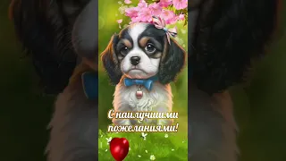 СНаилучшимиПожеланиями#улыбнись #Видеоткрытка #музыкальнаявидеооткрытка #shortsvideo #подпишись #