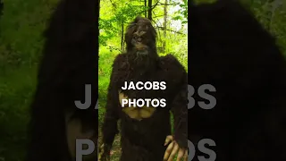 Top Five Bigfoot Stories #bigfoot #shorts