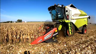 Zaczynamy żniwa kukurydziane 2023❗️Niskie plony i zniszczona plantacja przez zwierzynę 🐄