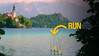 2023 Carp Fishing Runs Compilation in 4k