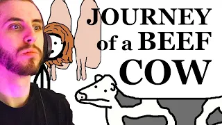 The Journey of a Beef Cow - Sam Onella Reaction