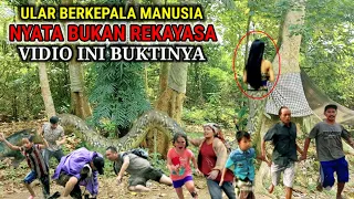 Geger !! Ular Berkepala Manusia Tiba-tiba Muncul Di Sendang Keramat Hebohkan Warga